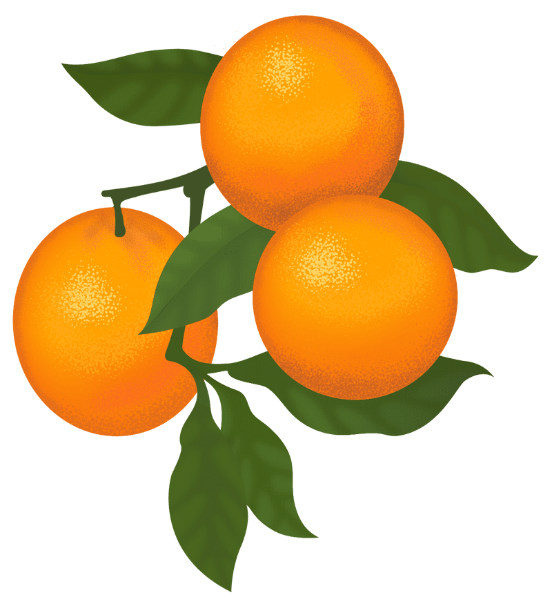 60+ Varieties Of Citrus Fruit Trees