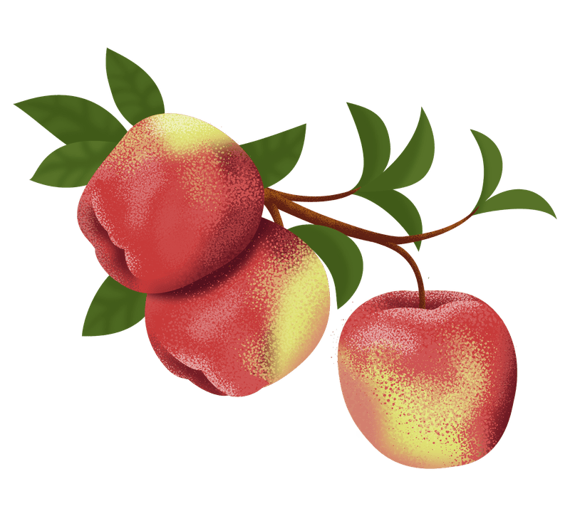 We now have Citrus Fruit Trees