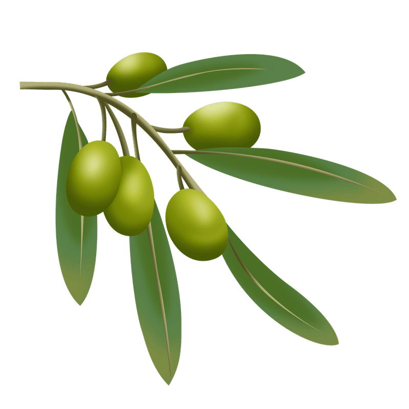 Browse Our Citrus Fruit Trees