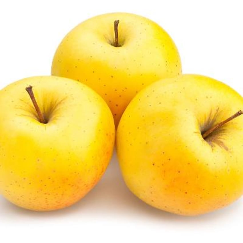 Dwarf Golden Delicious Apple Tree