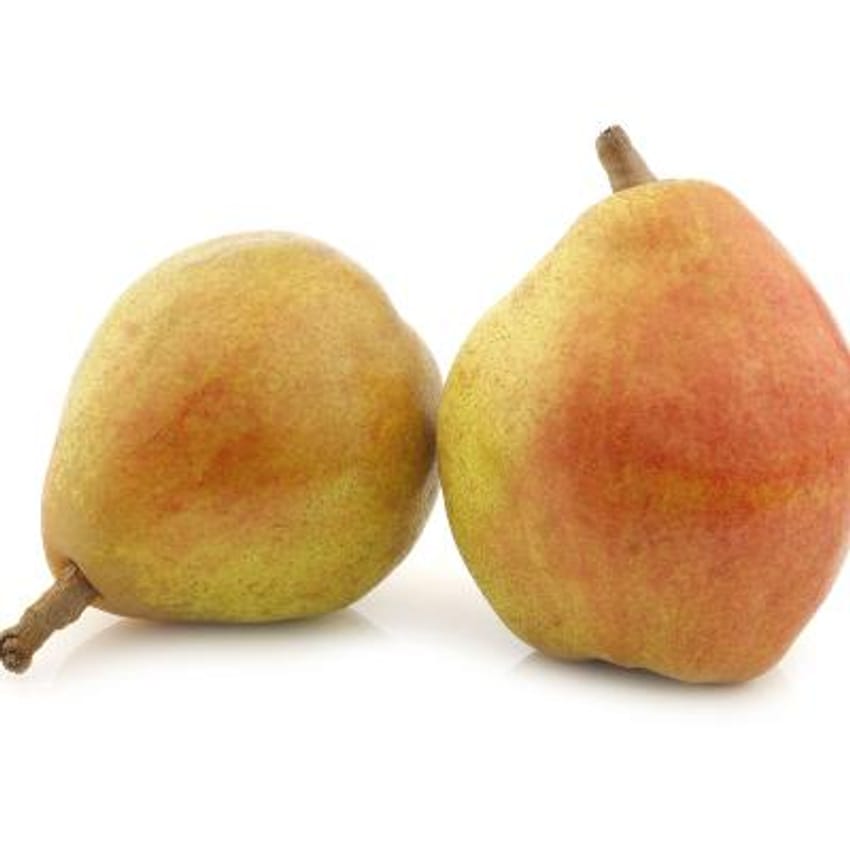 Comice Pear Tree