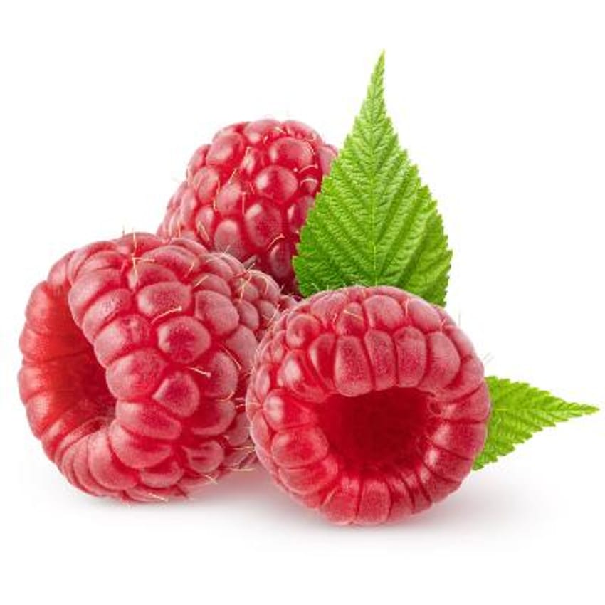 Heritage Red Raspberry Bush