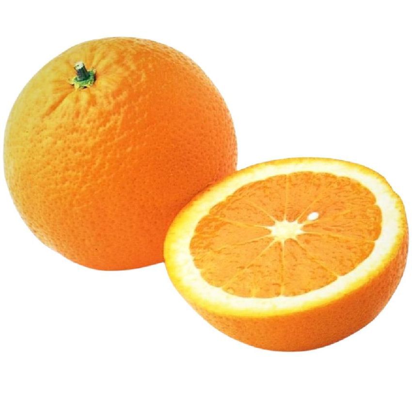orange fruit trees