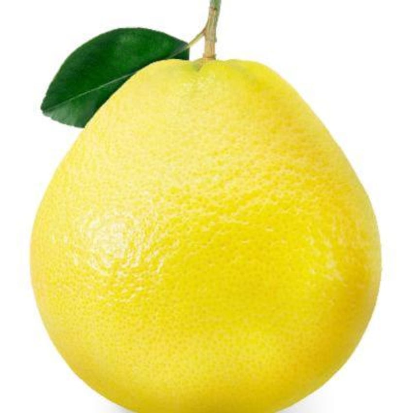 Pomelo Normal Pomelo Size