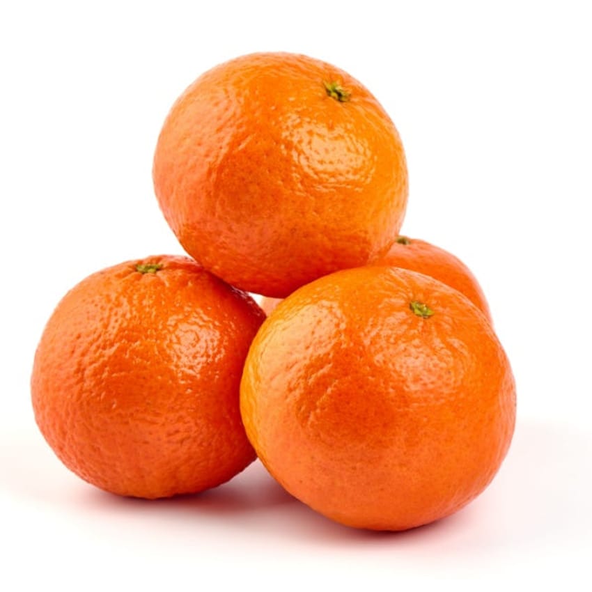 Royal Mandarin Semi-Dwarf Tree - Unique Mandarin Variety