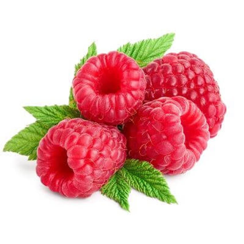 Welch Red Raspberry Willamette Red Raspberry - Sweet and Tart Berry Bush