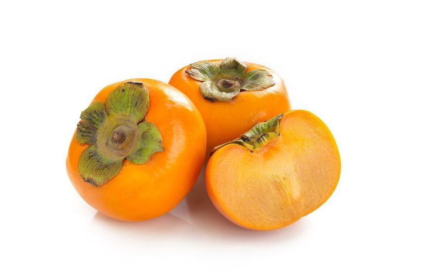 Persimmons, Guide for 2024