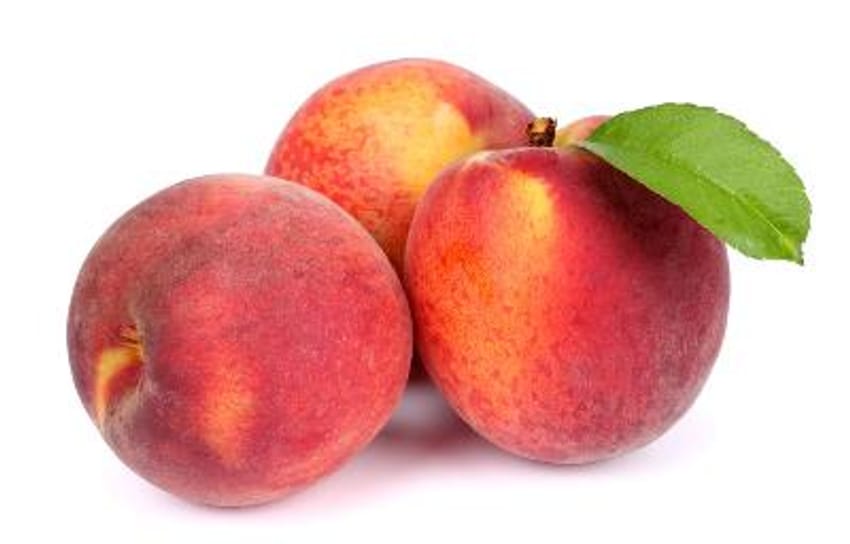 Best Freestone Yellow Peach to Grow in Central Florida: Top Picks Revealed 2 Best Freestone Yellow Peach to Grow in Central Florida: Top Picks Revealed