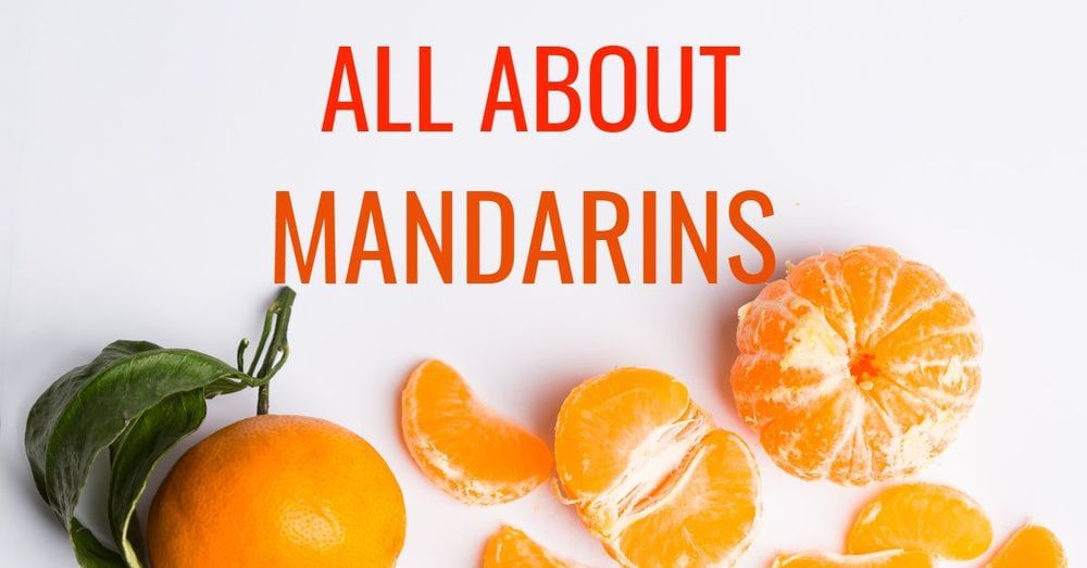 All About Mandarins Featured