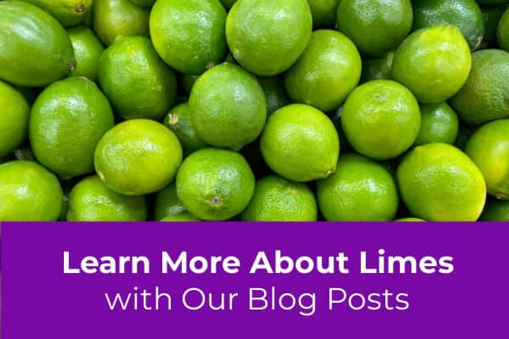 Learn More About Growing Lime Trees Featured
