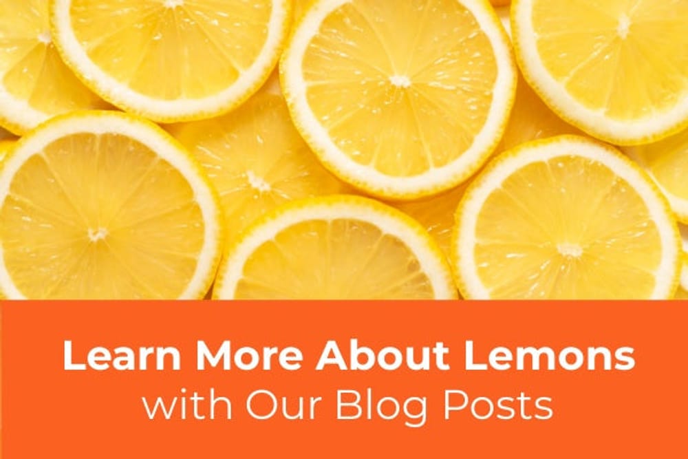 Learn More About Growing Lemon Trees Featured