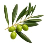 small-image