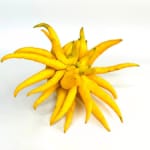 small-image