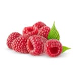 Meeker Red Raspberry Bush