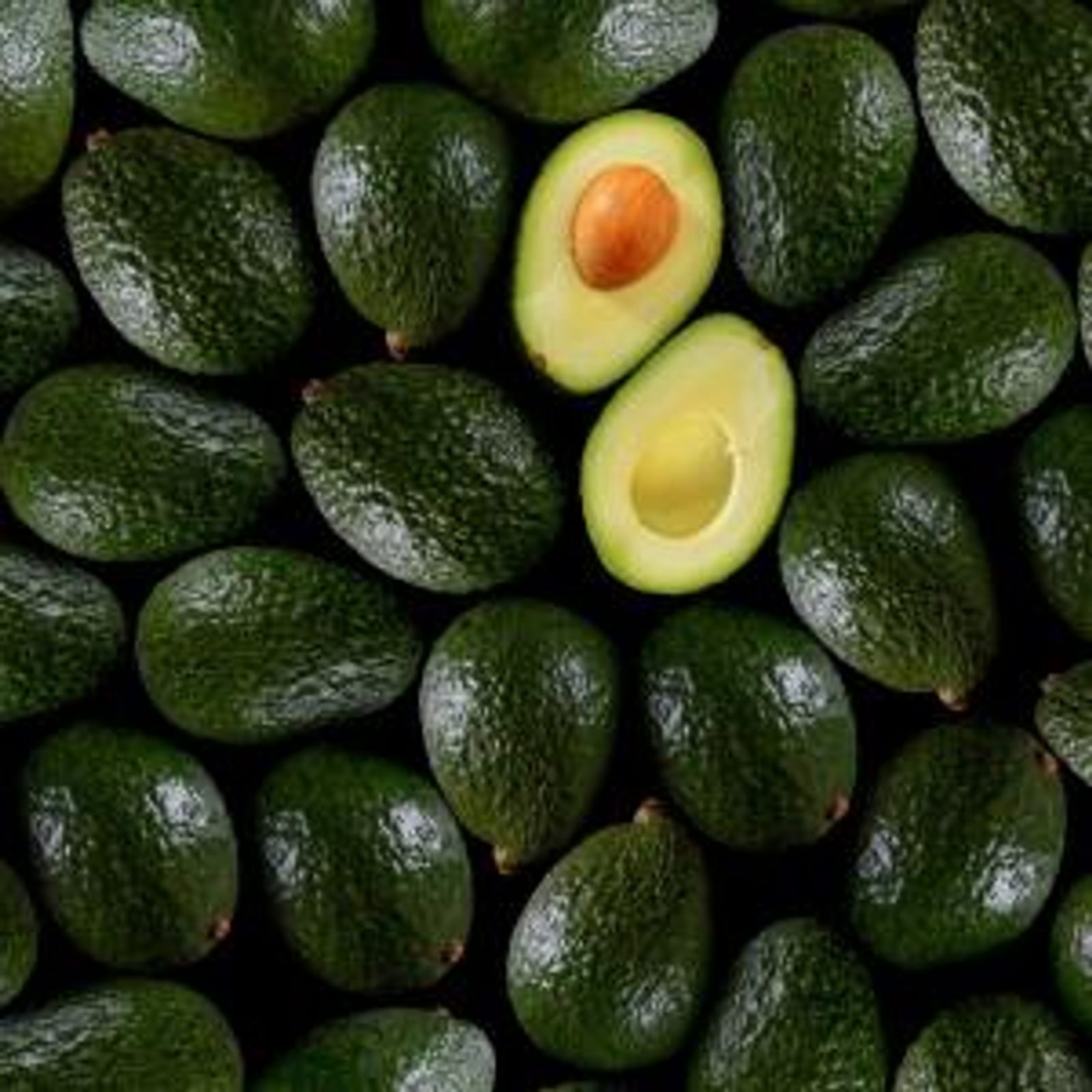 Avocado Variety Chart Background