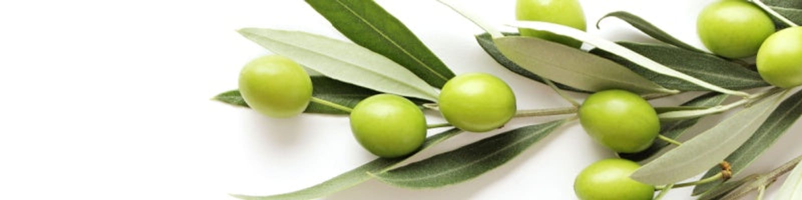 Olive Variety Chart Background