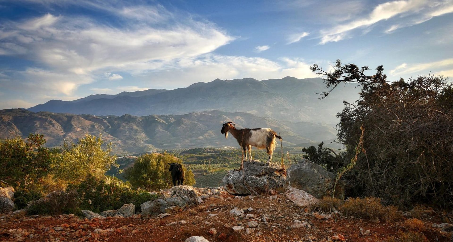 CRETA AUTÉNTICA DESDE CHANIÁ