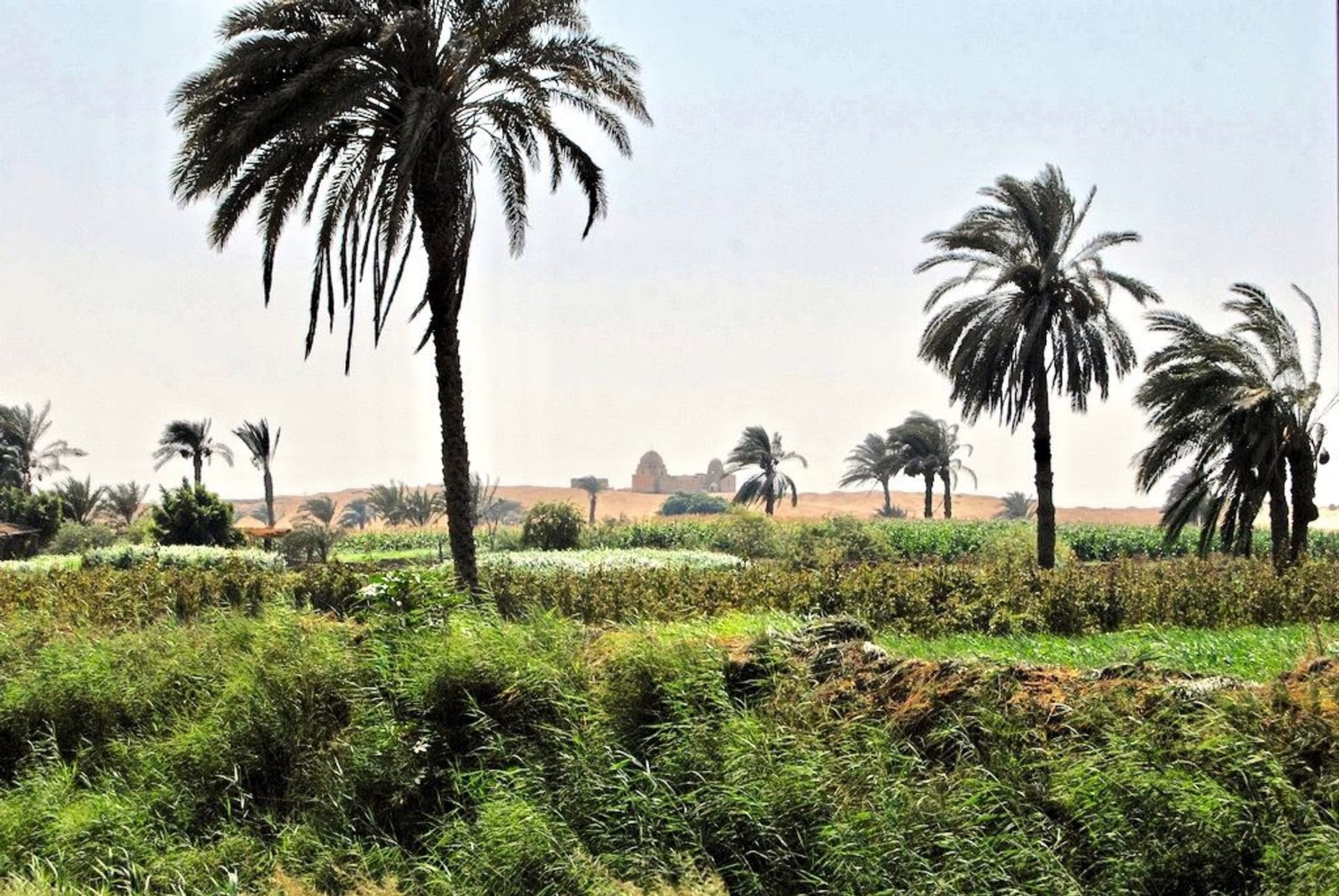 ESCAPADA OASIS DE FAYUM