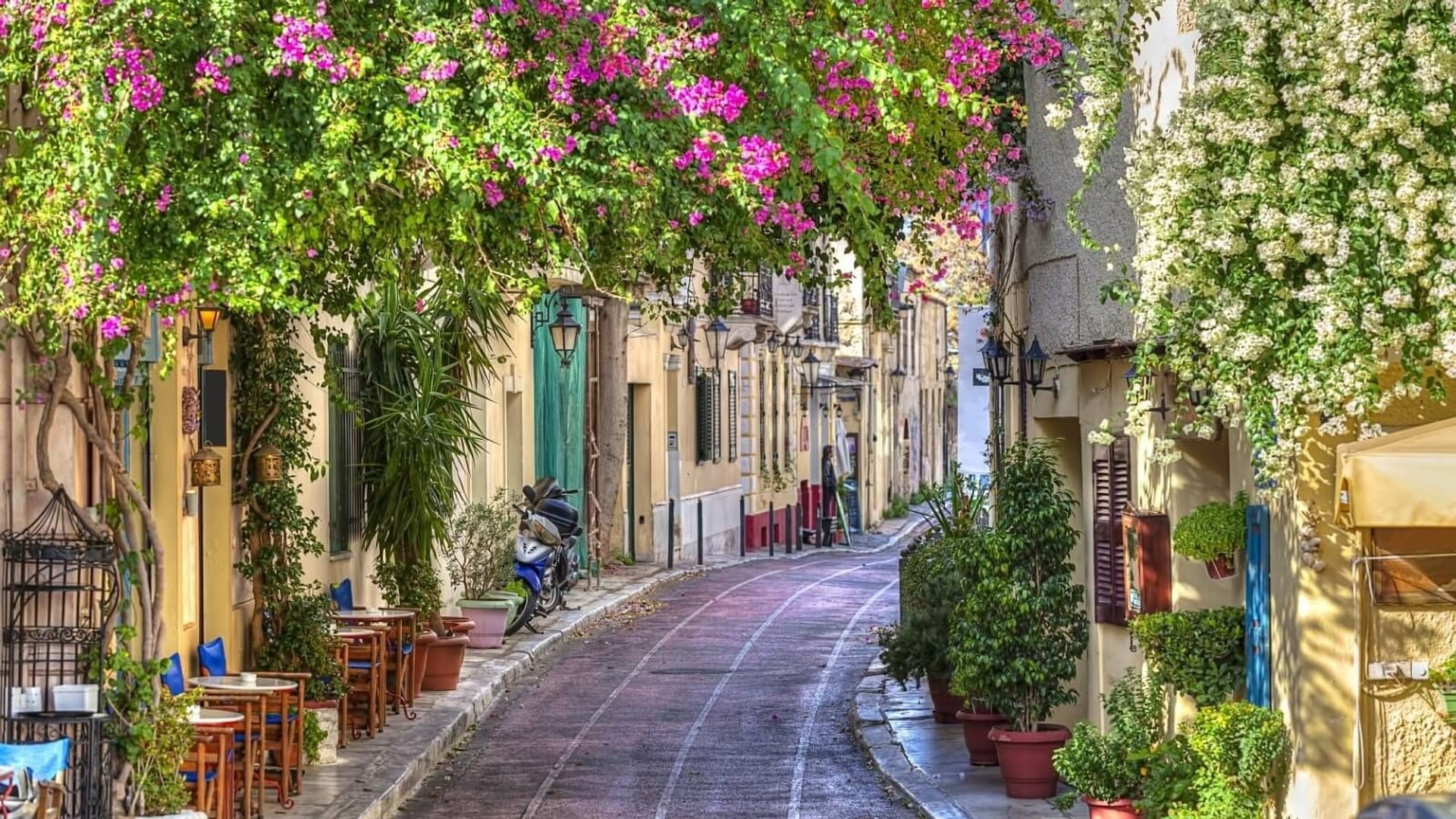 ATHENS WALKING CITY TOUR
