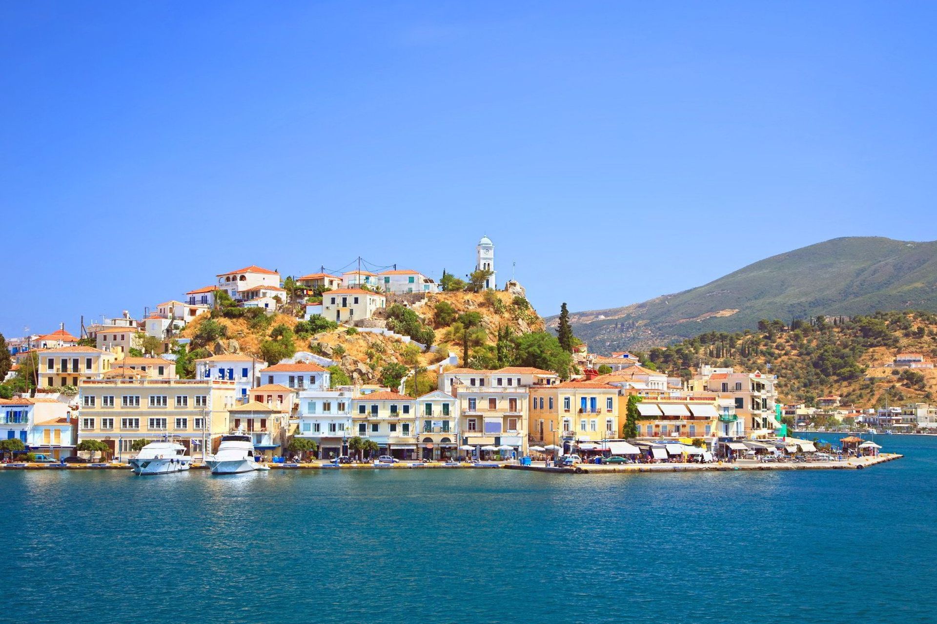 Hydra