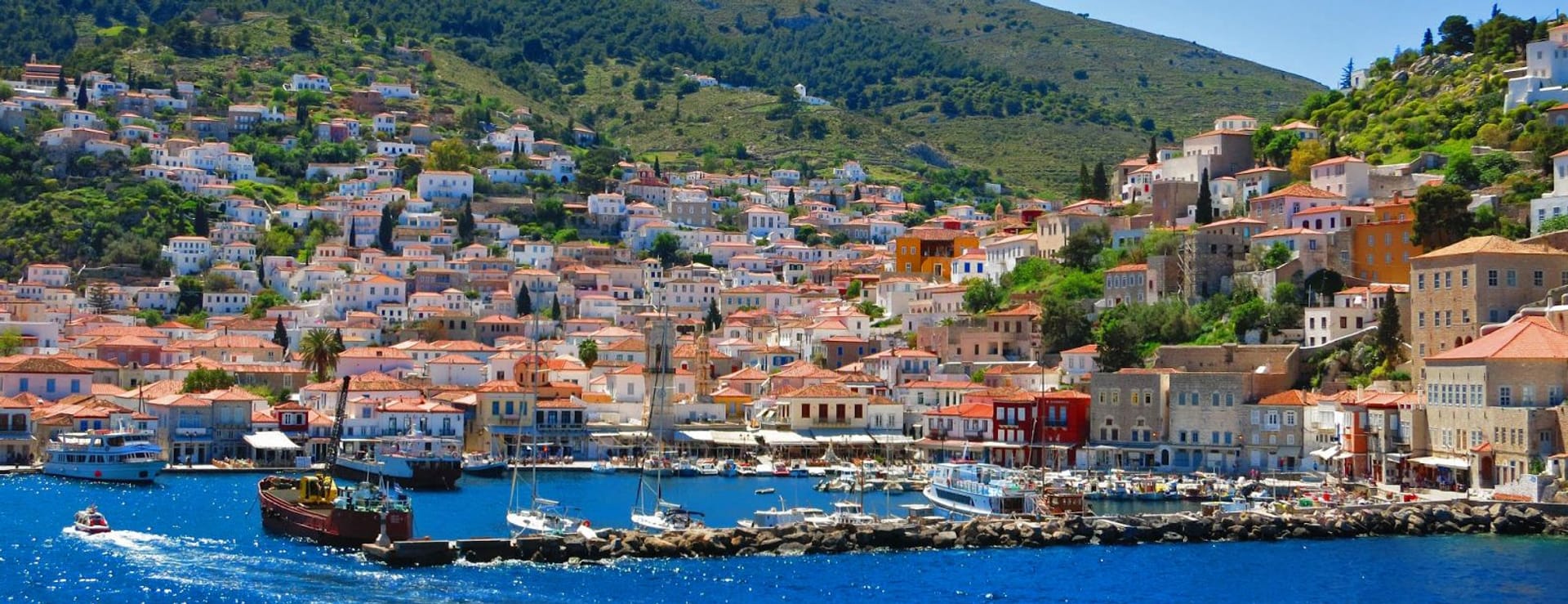 Hydra
