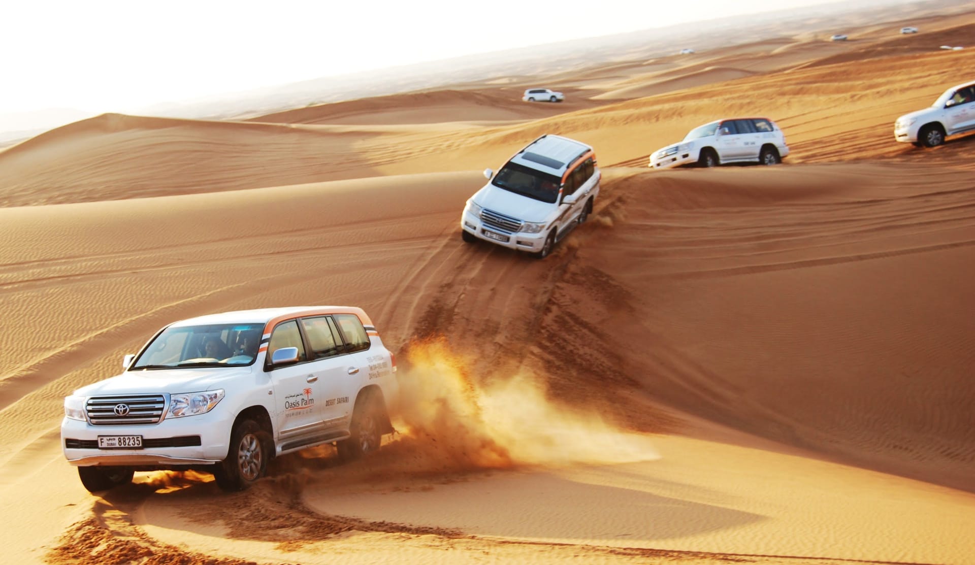 Desert Safari