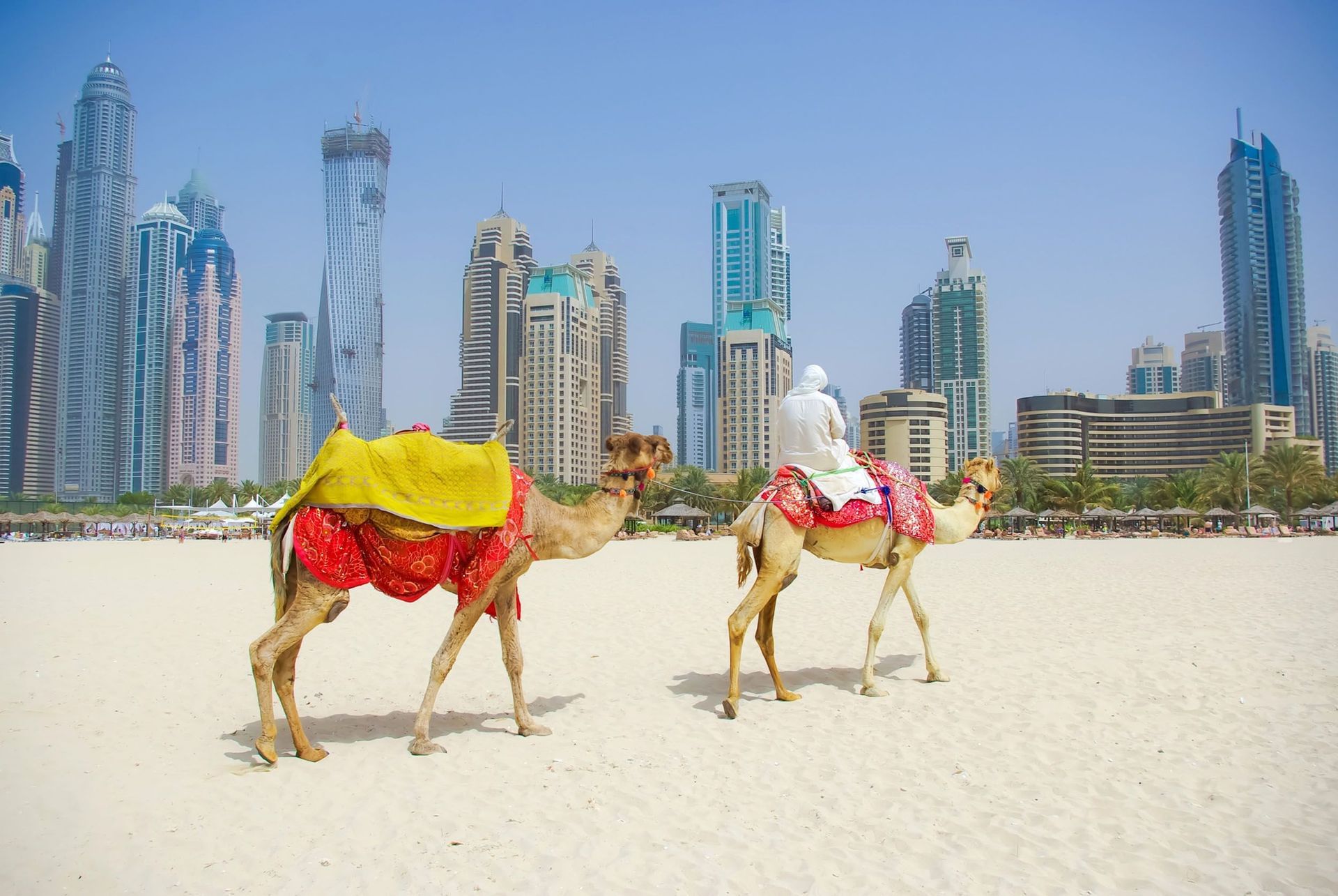 Camel Ride
