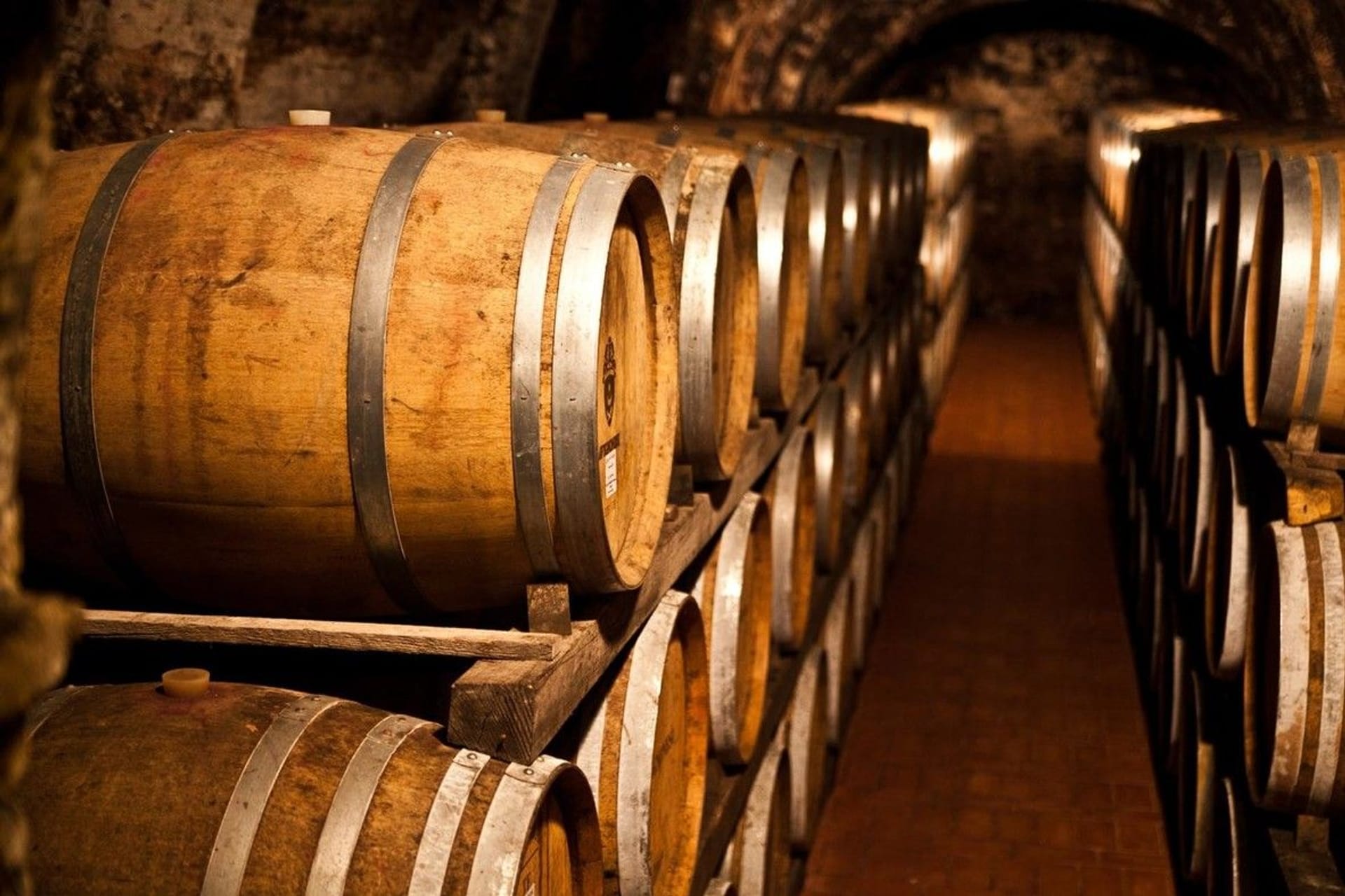 Cellar