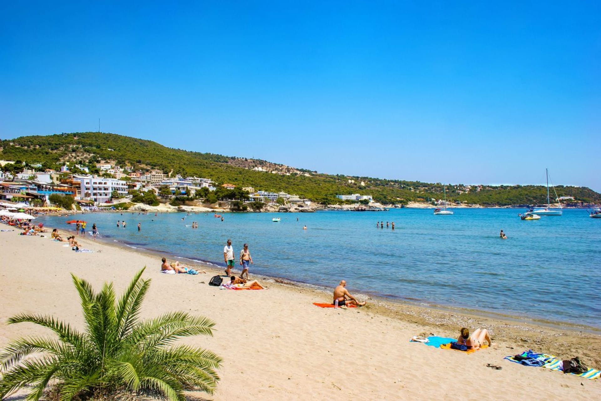 Aegina