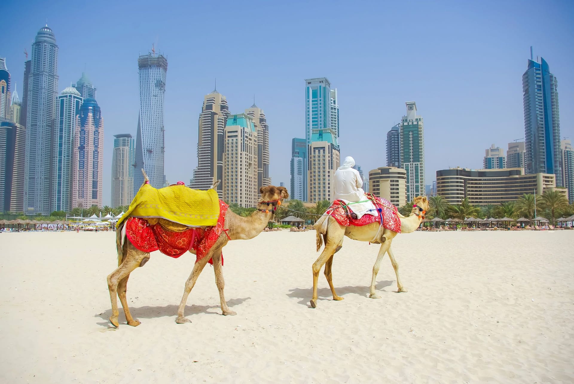 Paseo en Camellos