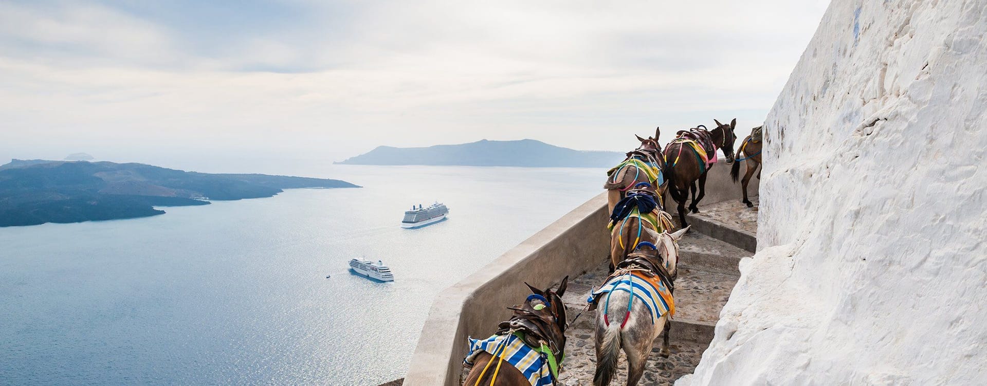 Donkeys in Santorini