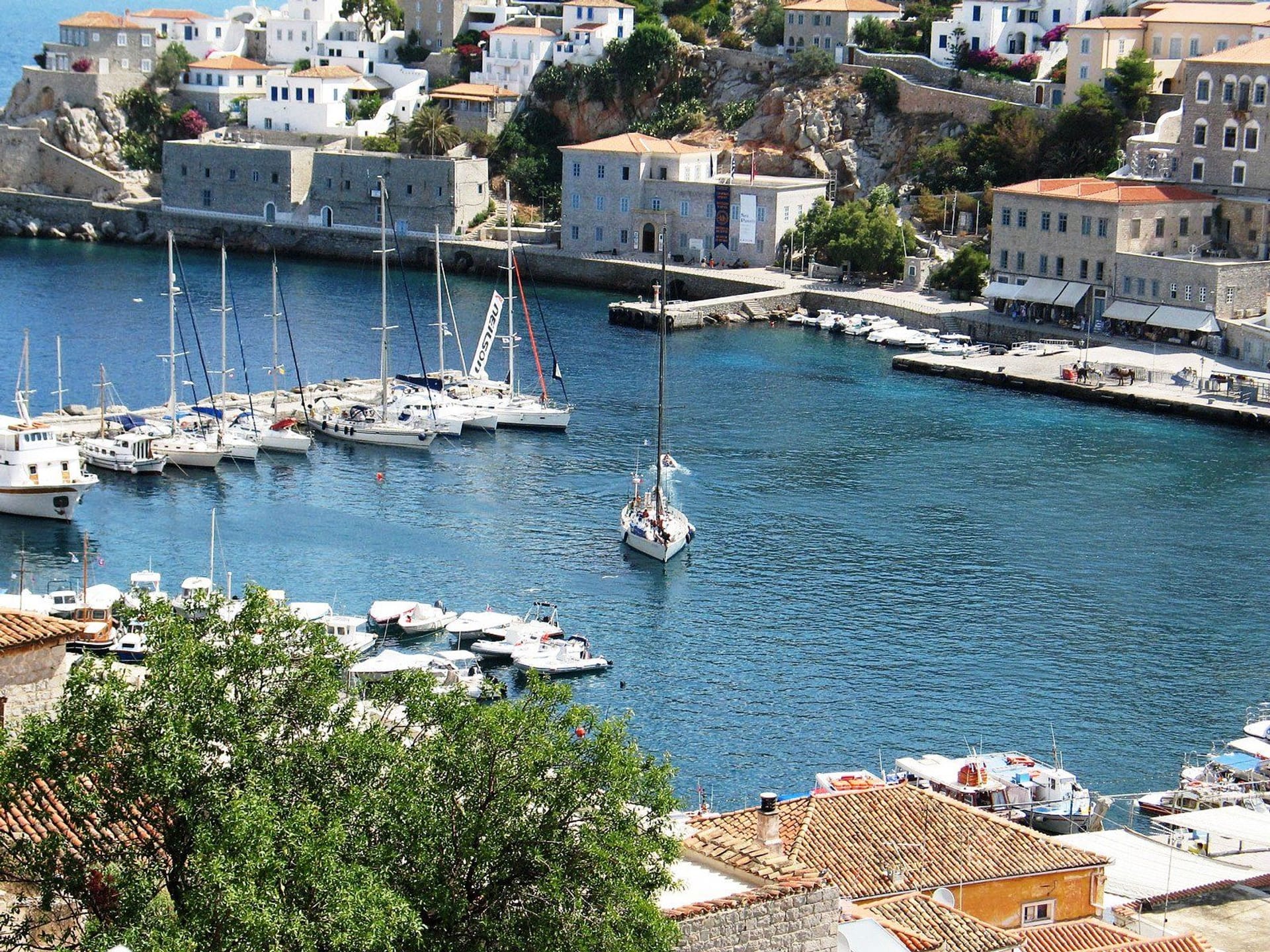 Hydra
