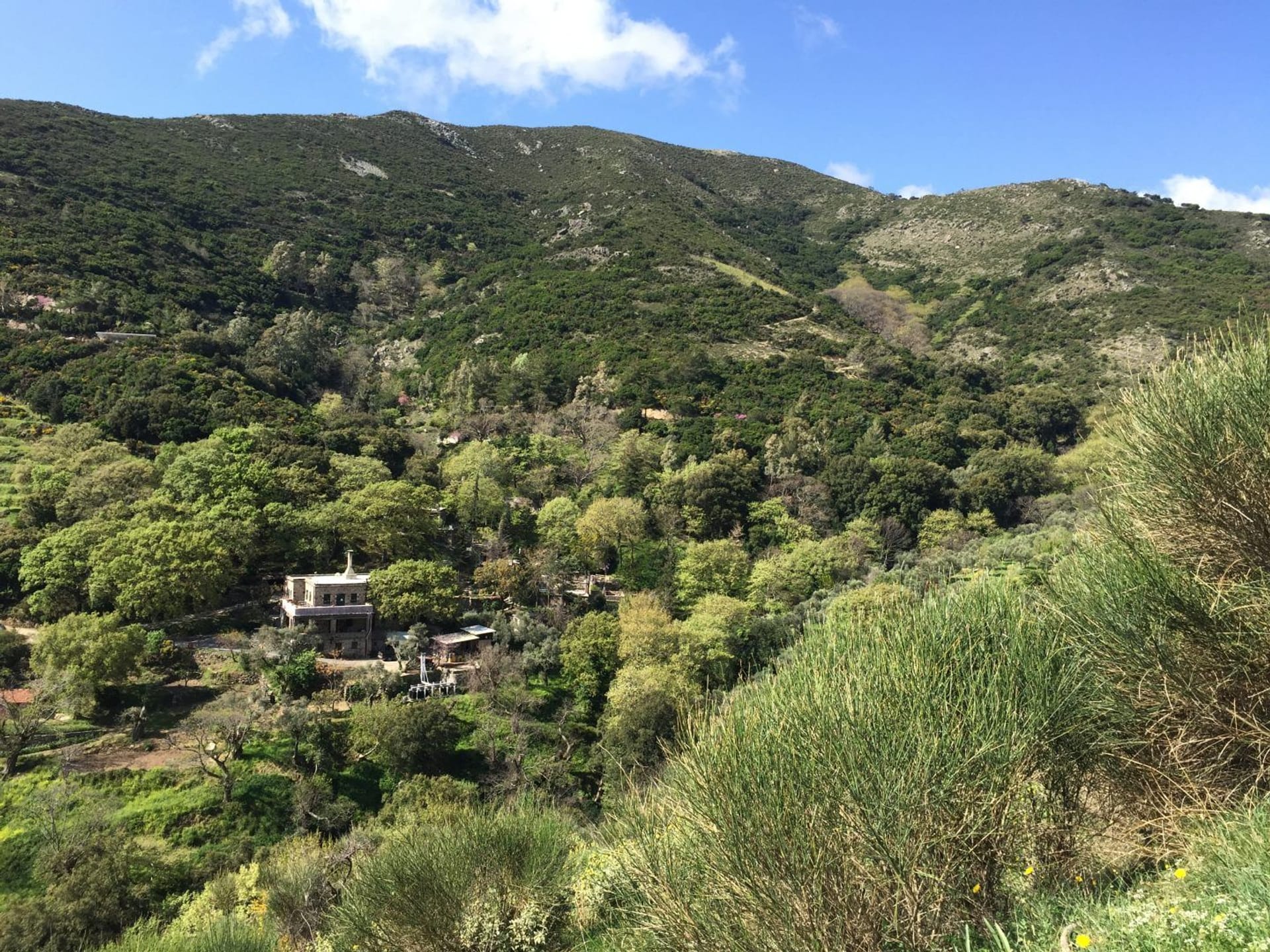 Panorámica de Miliá