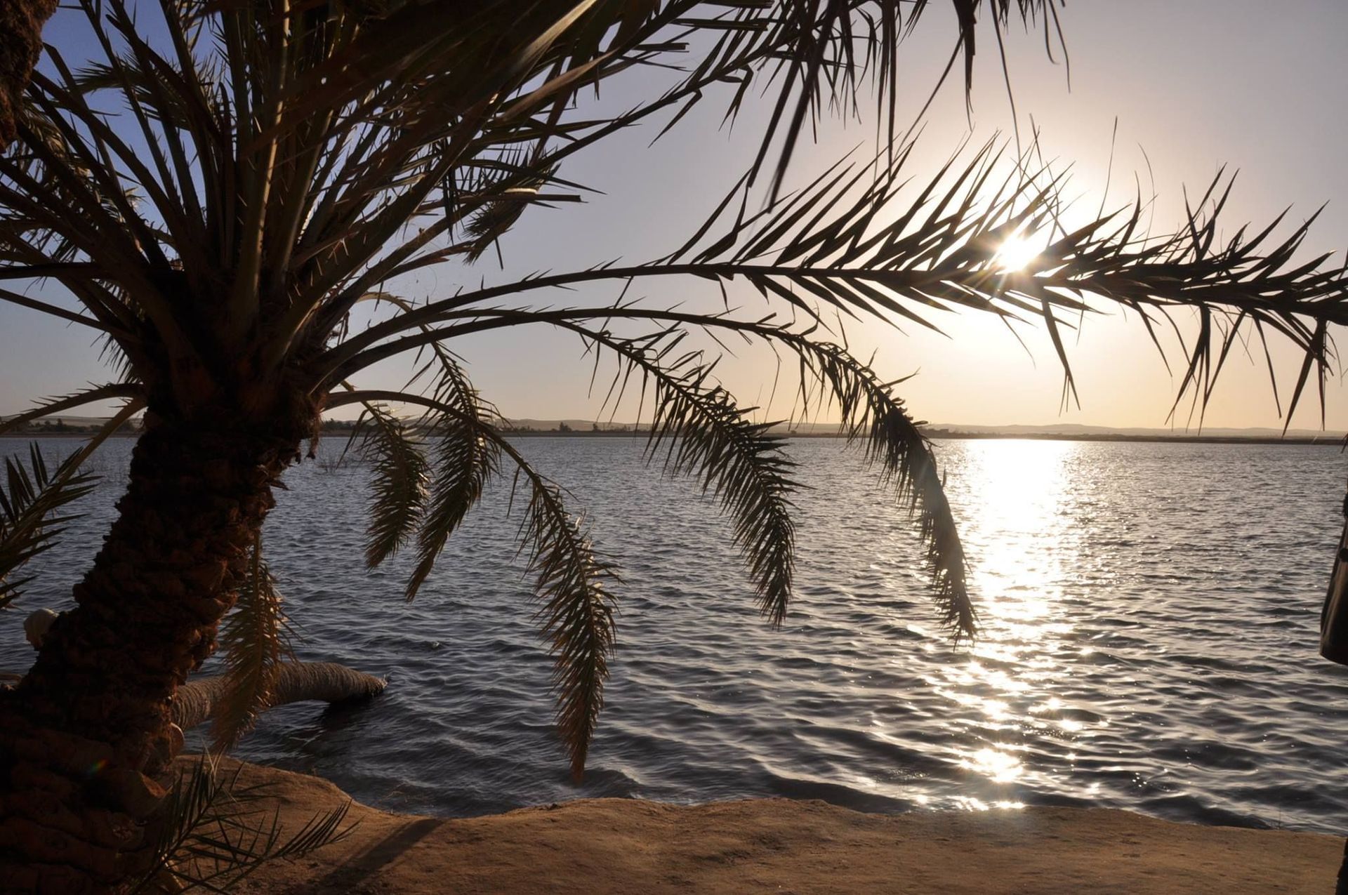 Oasis de Siwa