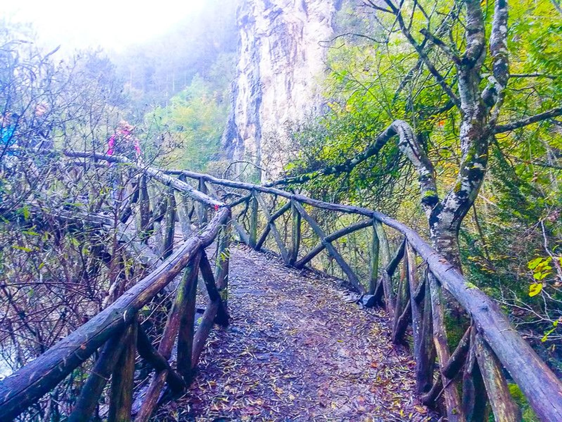 Puente de Madera sobre el río Enipeas