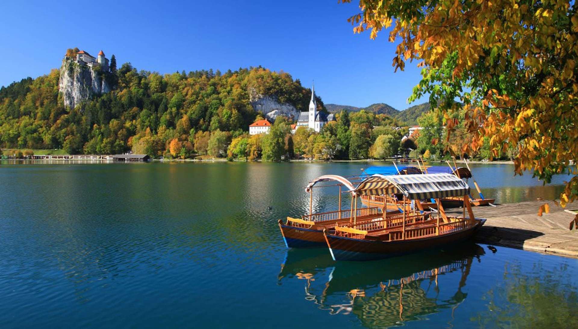 Bled