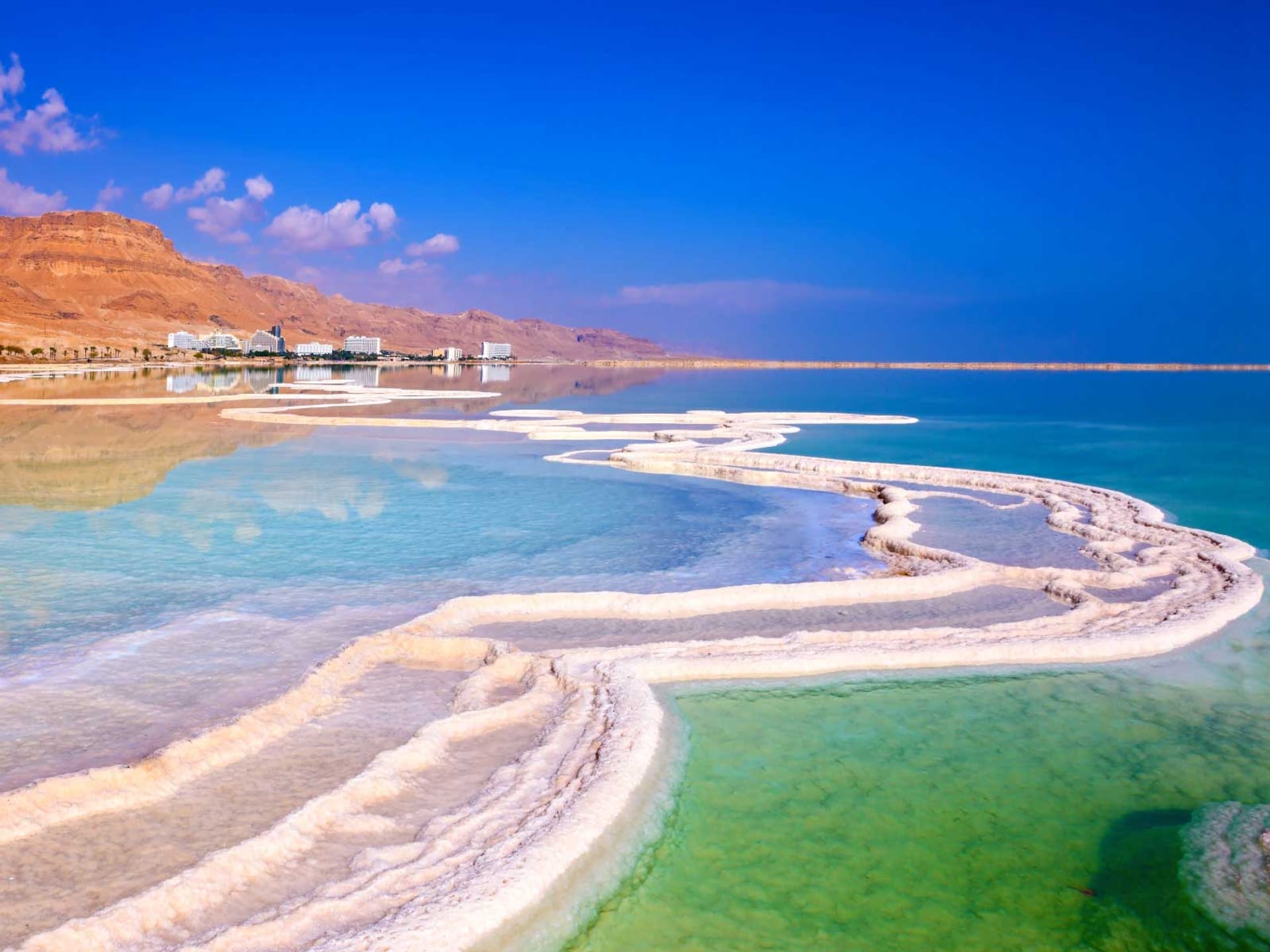 Ein Gedi