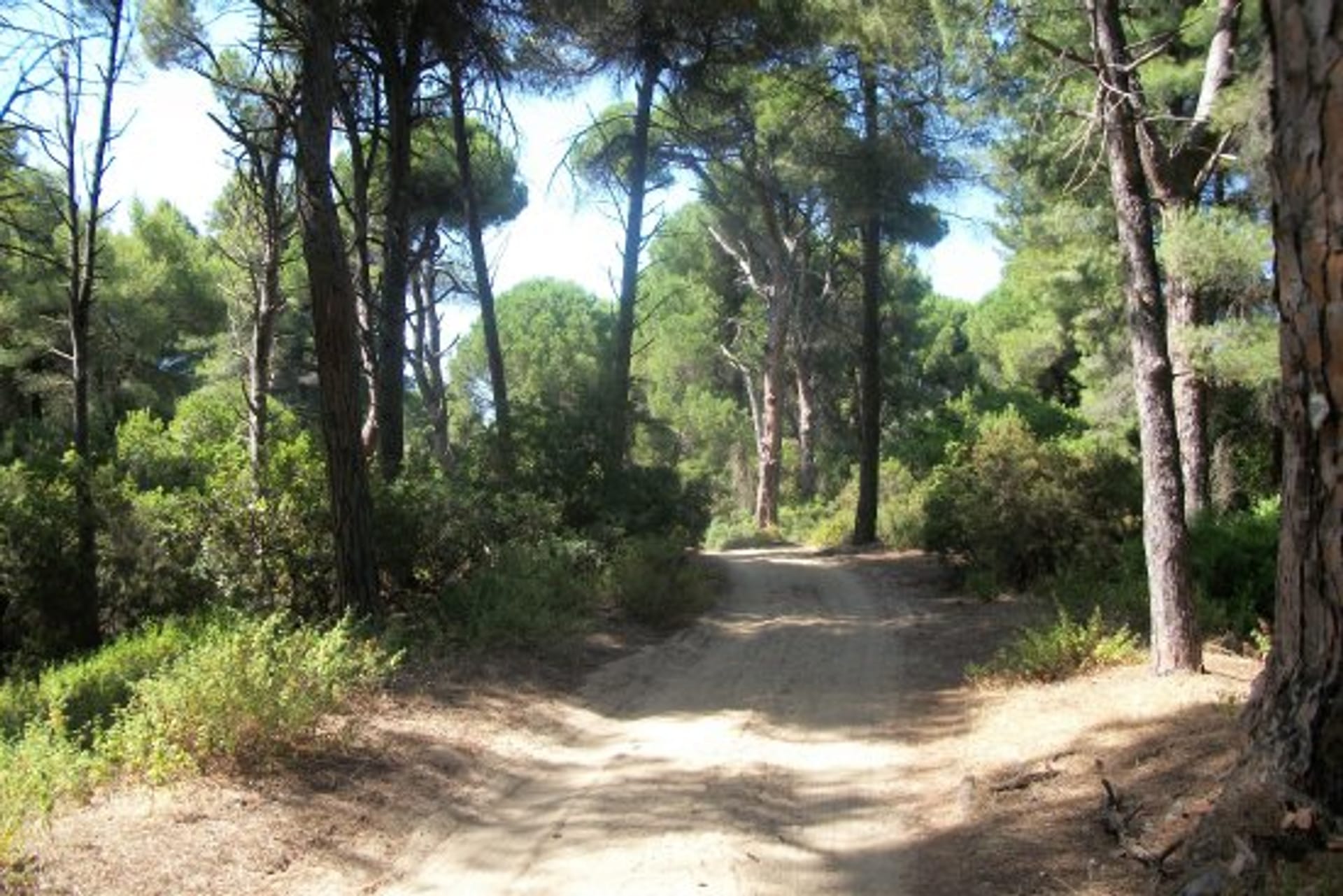 AVENTURA EN 4X4 POR SKIATHOS