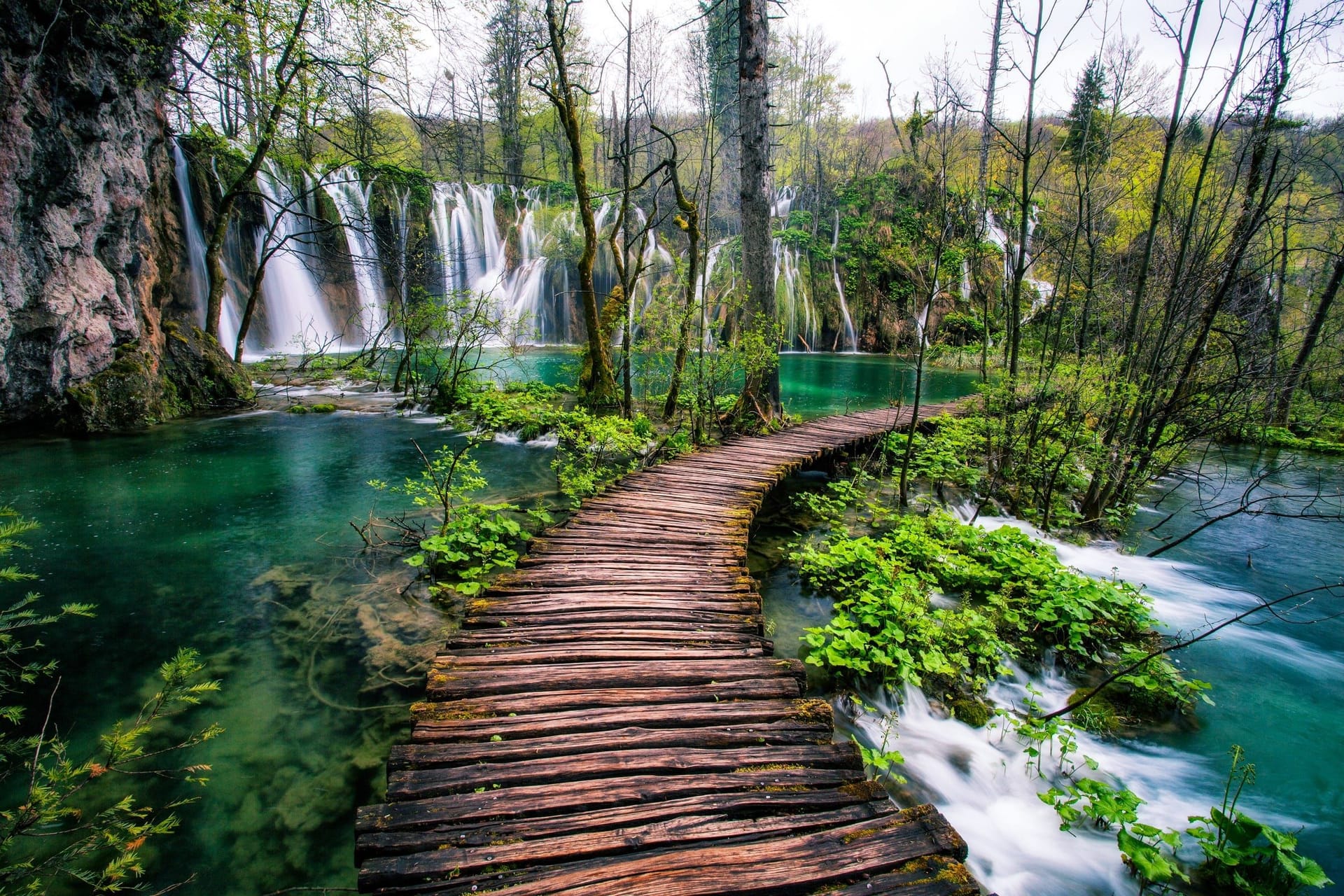 Puente en el Parque de Plitvice
