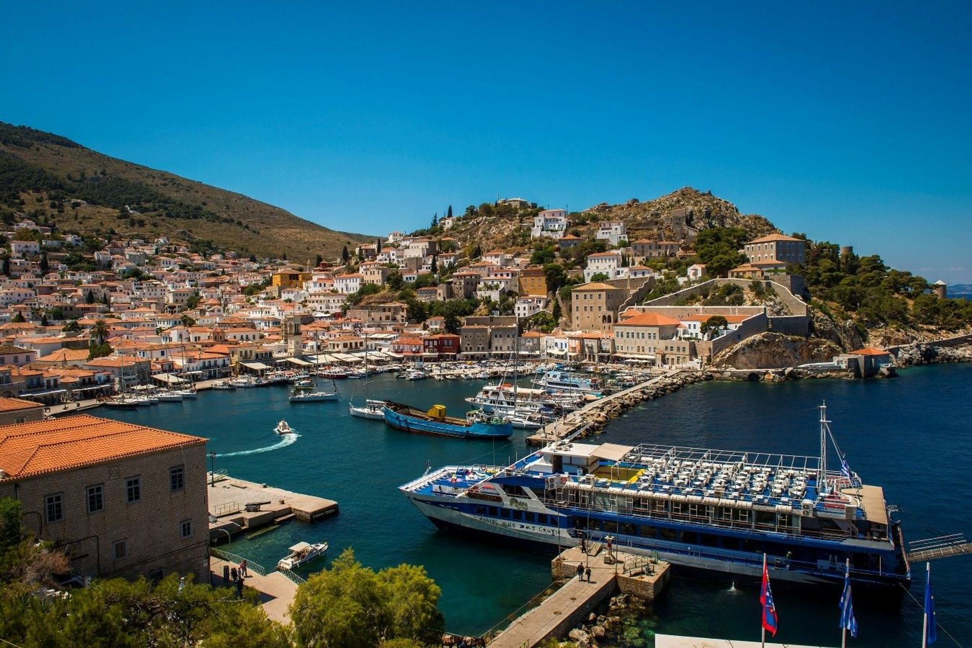 Hydra Por