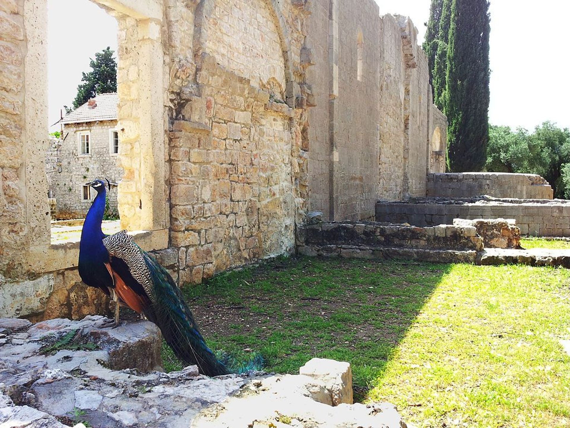 Ruinas del Monasterio Benedictino