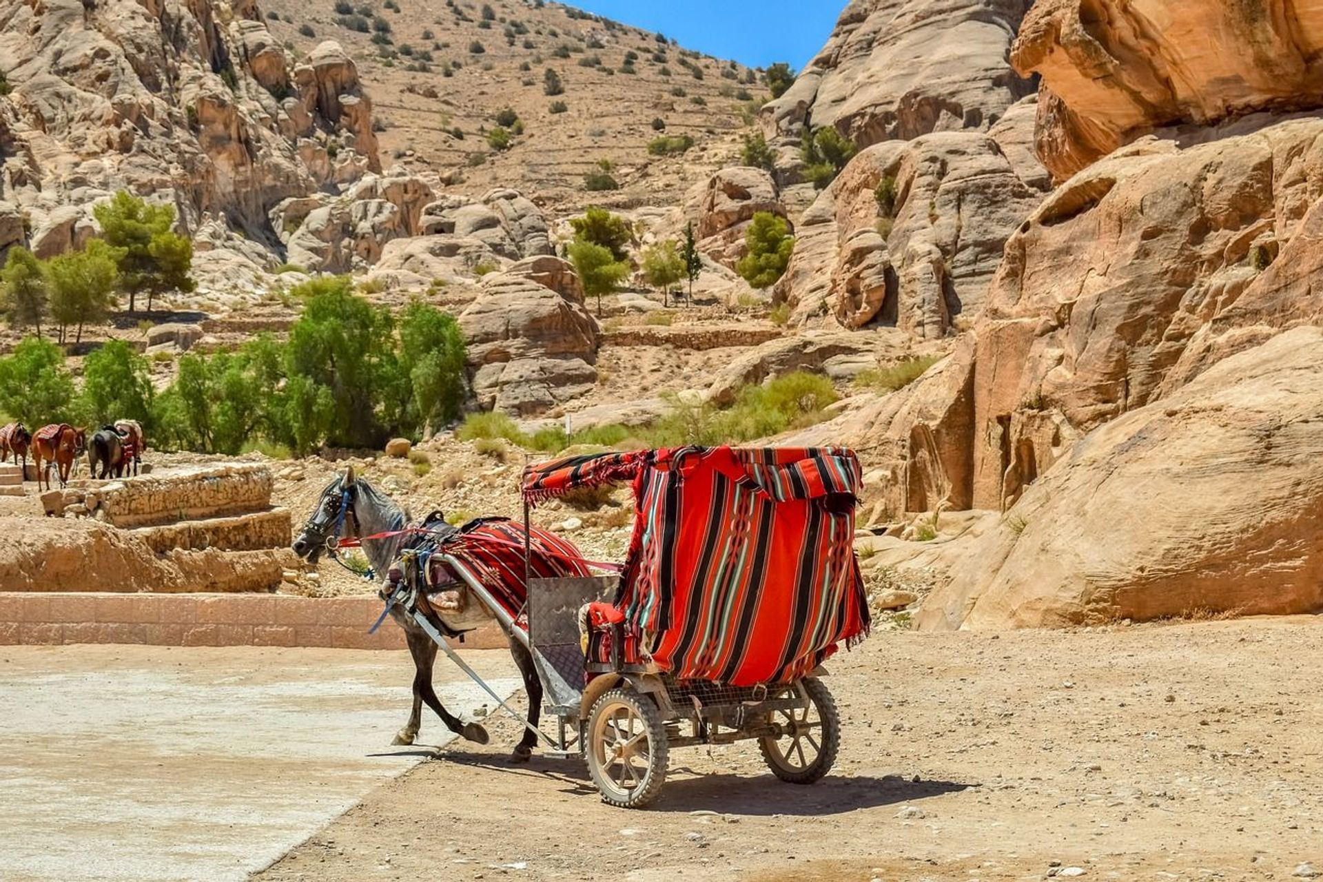 Paseo a caballo "Siq"