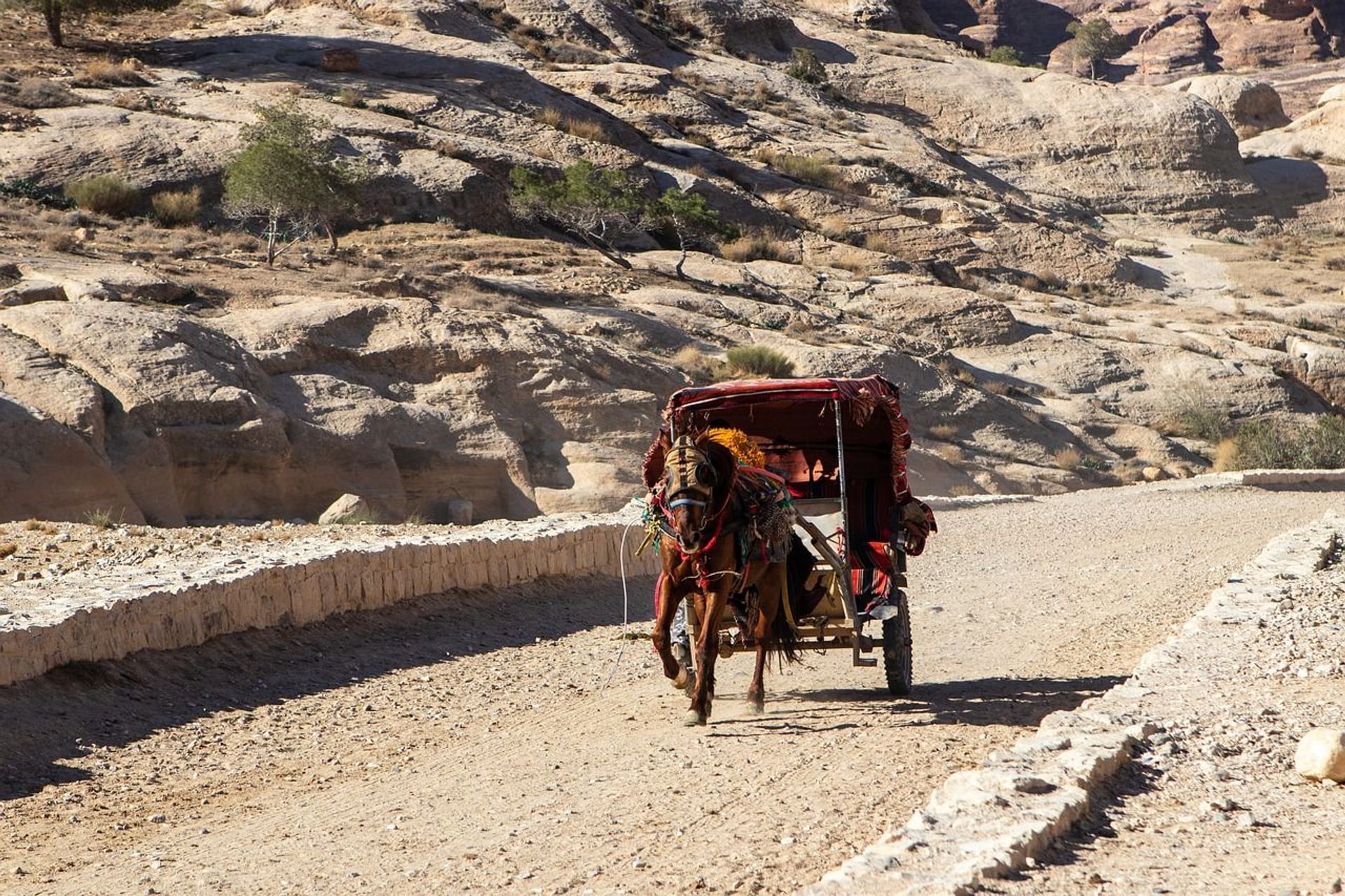 Camel Ride "Siq"