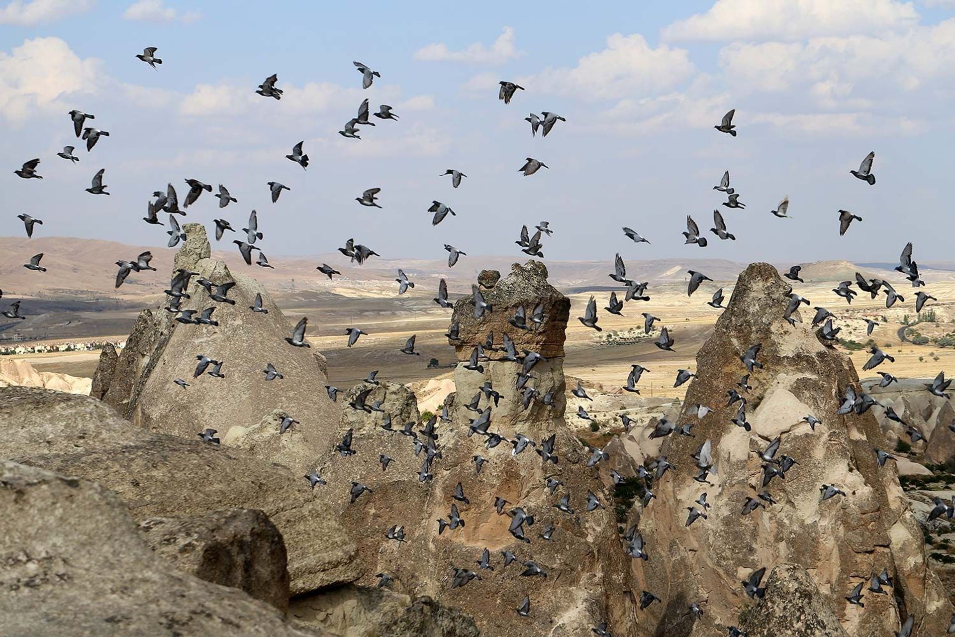 Valley of the Pigeons