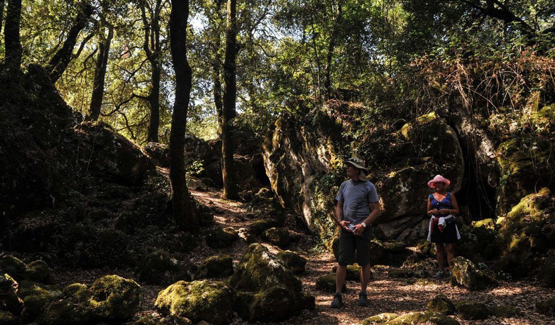 Bosques de Kocje
