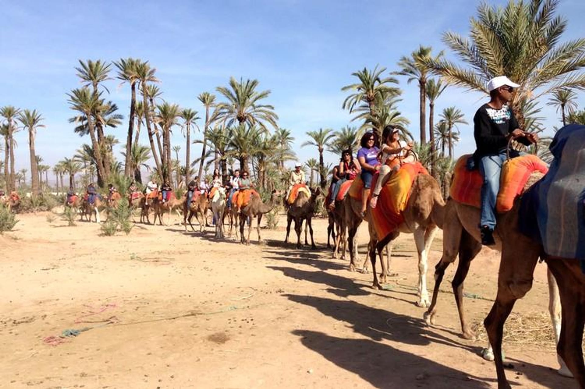 AVENTURA A CAMELLO EN MARRAKECH