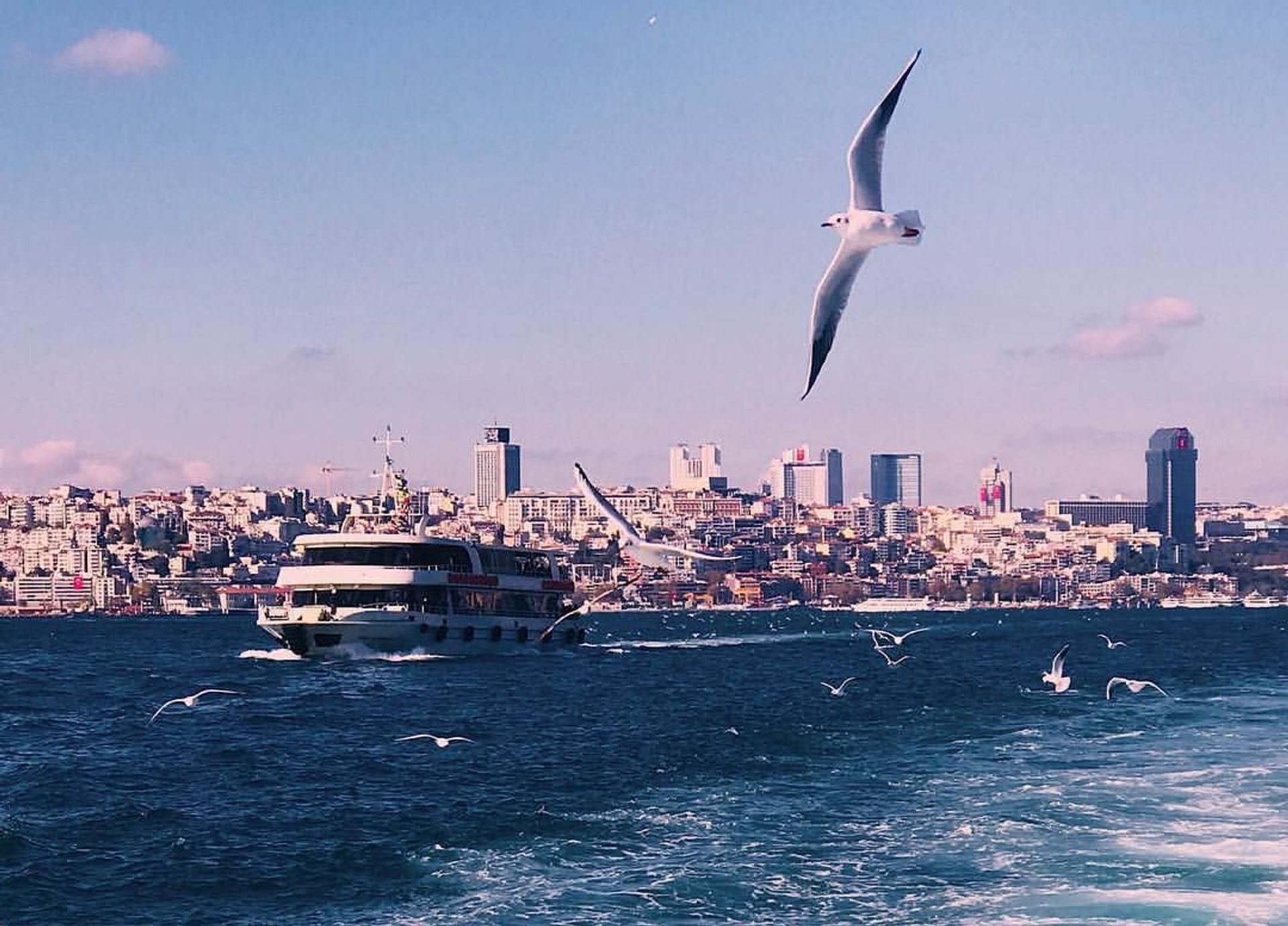 Cruising the Bosphorus