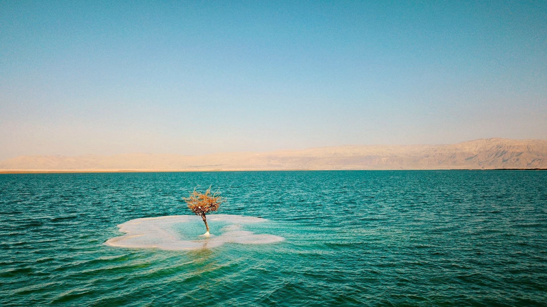Dead Sea