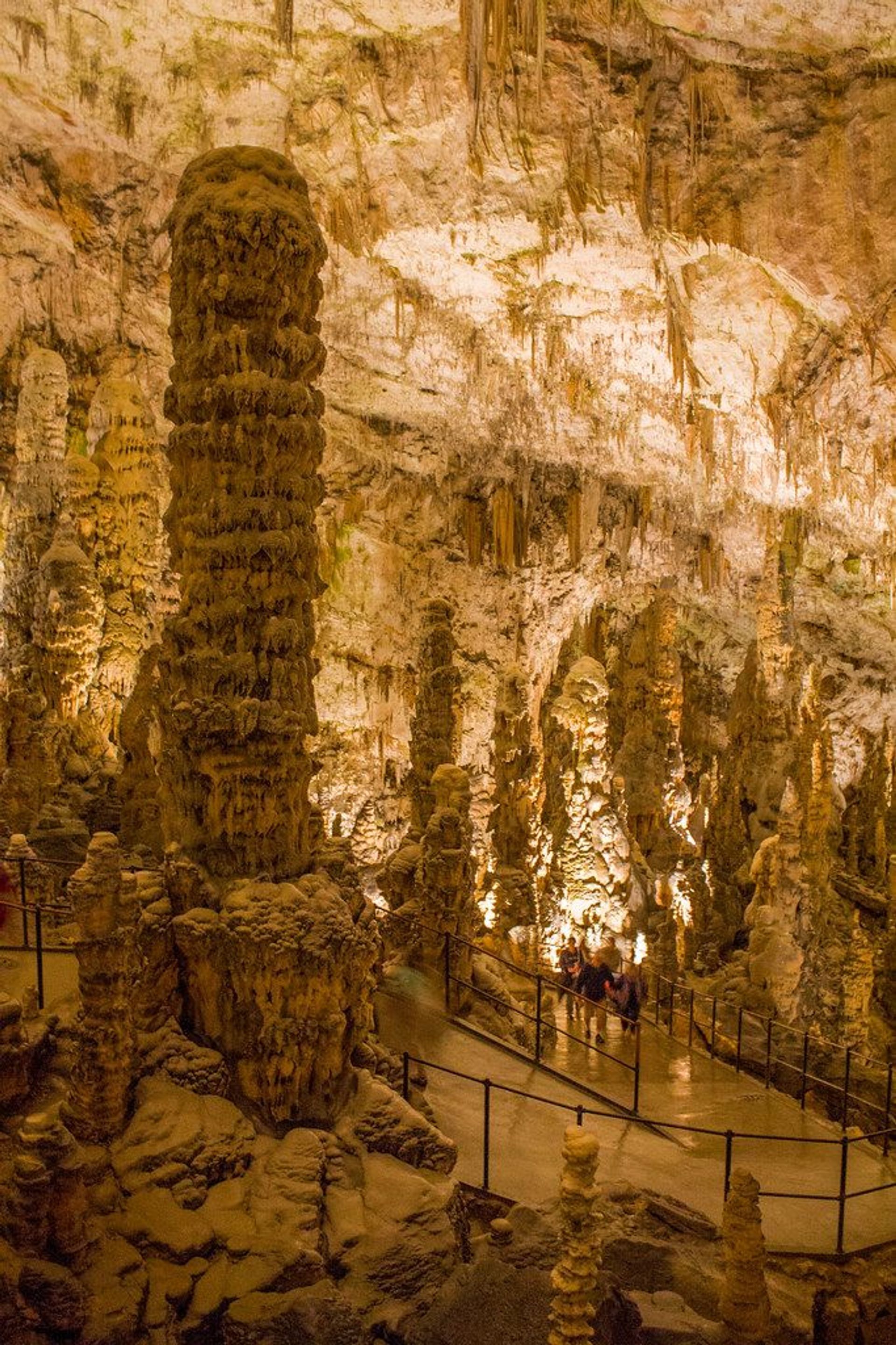 Cuevas de Postojna