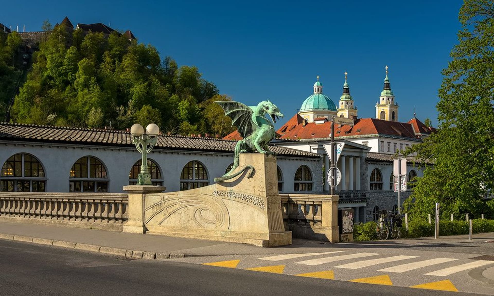 ENCANTO DÁLMATA